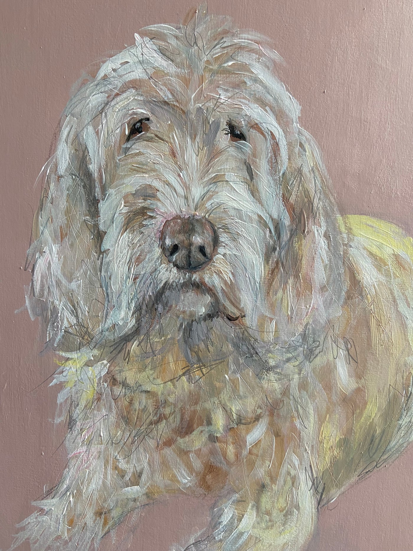 Pet portrait deposit