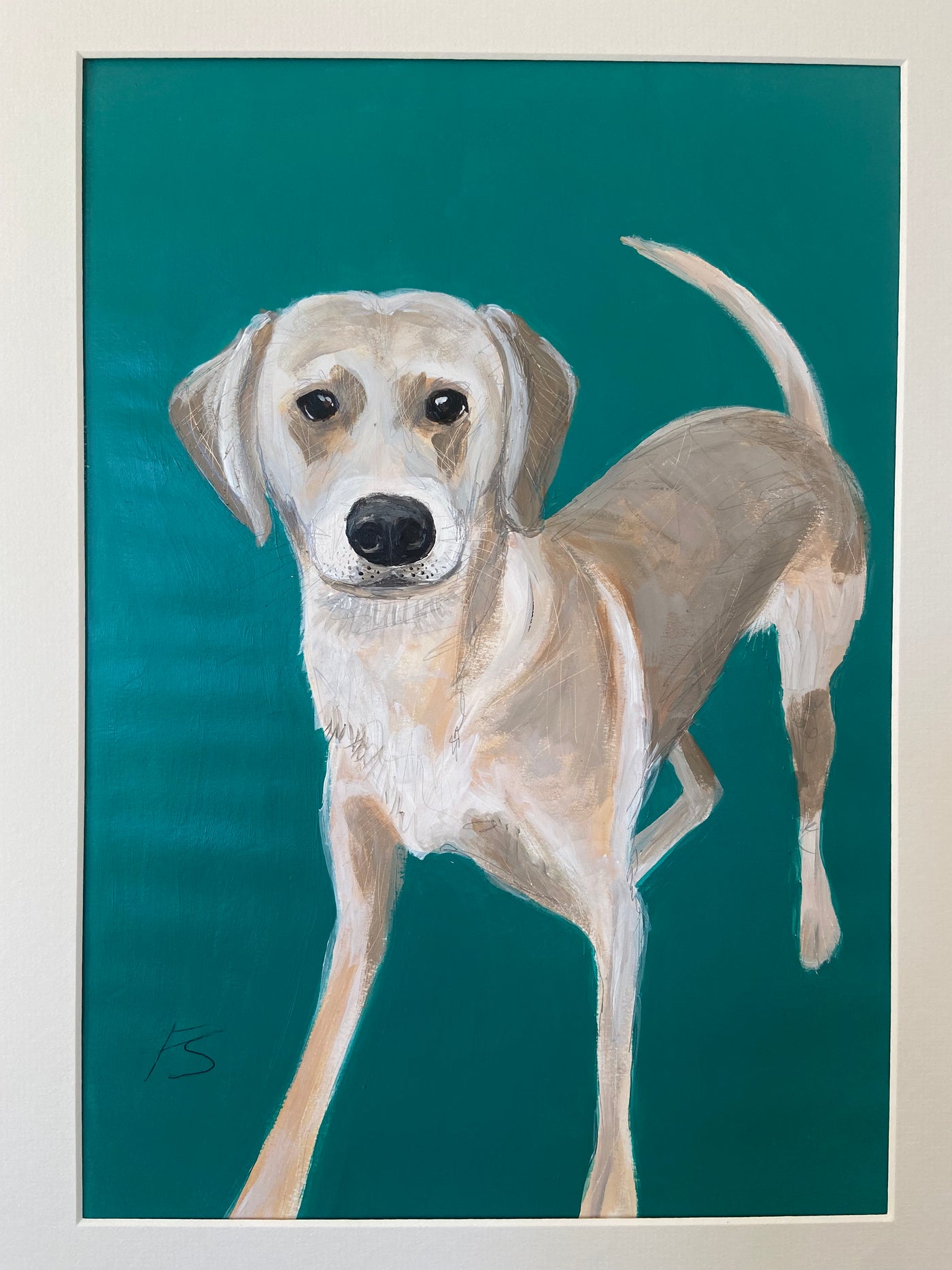 Pet portrait deposit